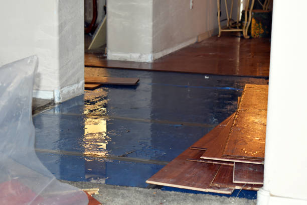 Professional Sewage Cleanup technician working in Highland Park, MI